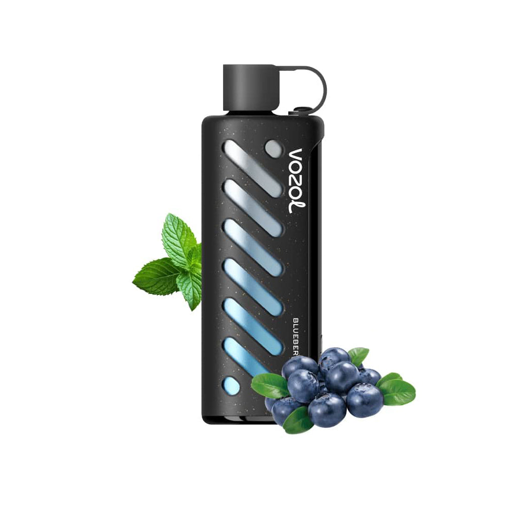 VOZOL GEAR 25000 Blueberry Mint E-Zigarette mit frischen Blaubeeren und Minzblättern. Stylisches schwarzes Design für bis zu 25.000 Züge.