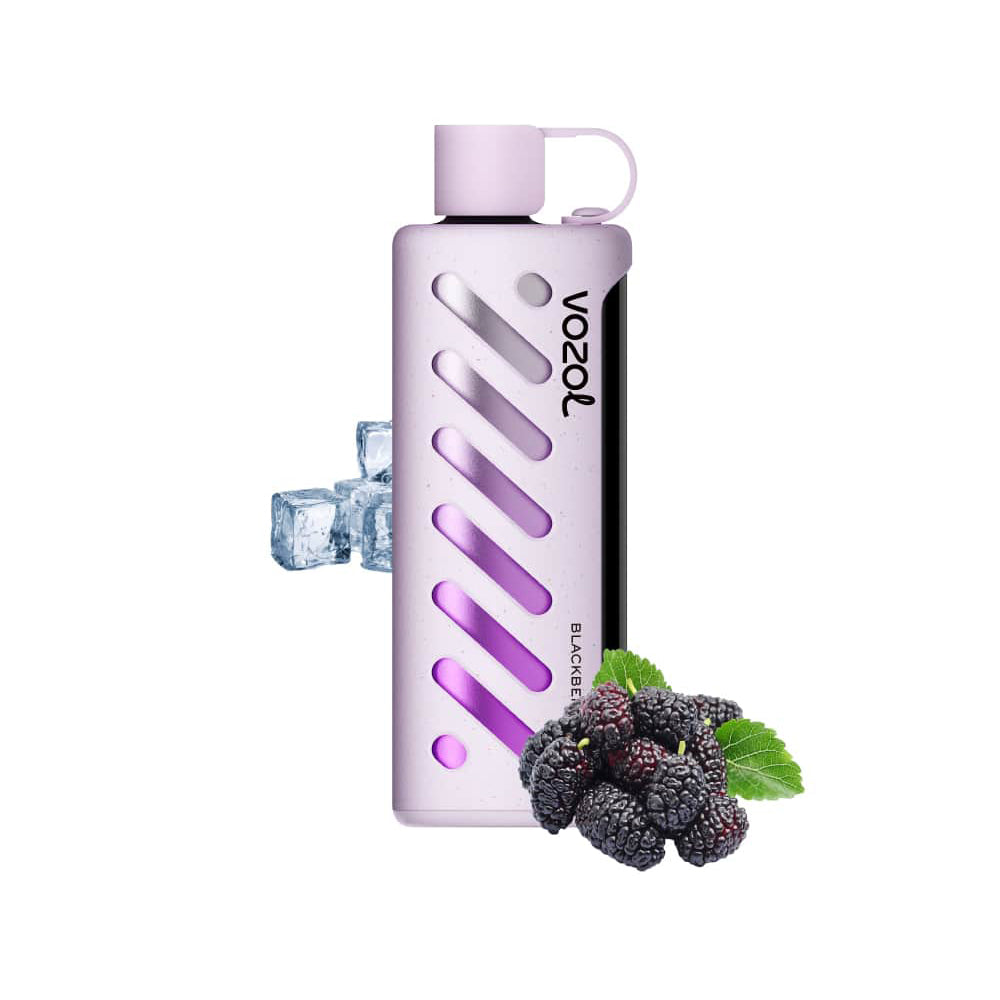 VOZOL GEAR 25000 Blackberry Ice E-Zigarette mit stylischem Design, Brombeeren und Eiswürfeln – fruchtige Vape kaufen für intensiven Geschmack