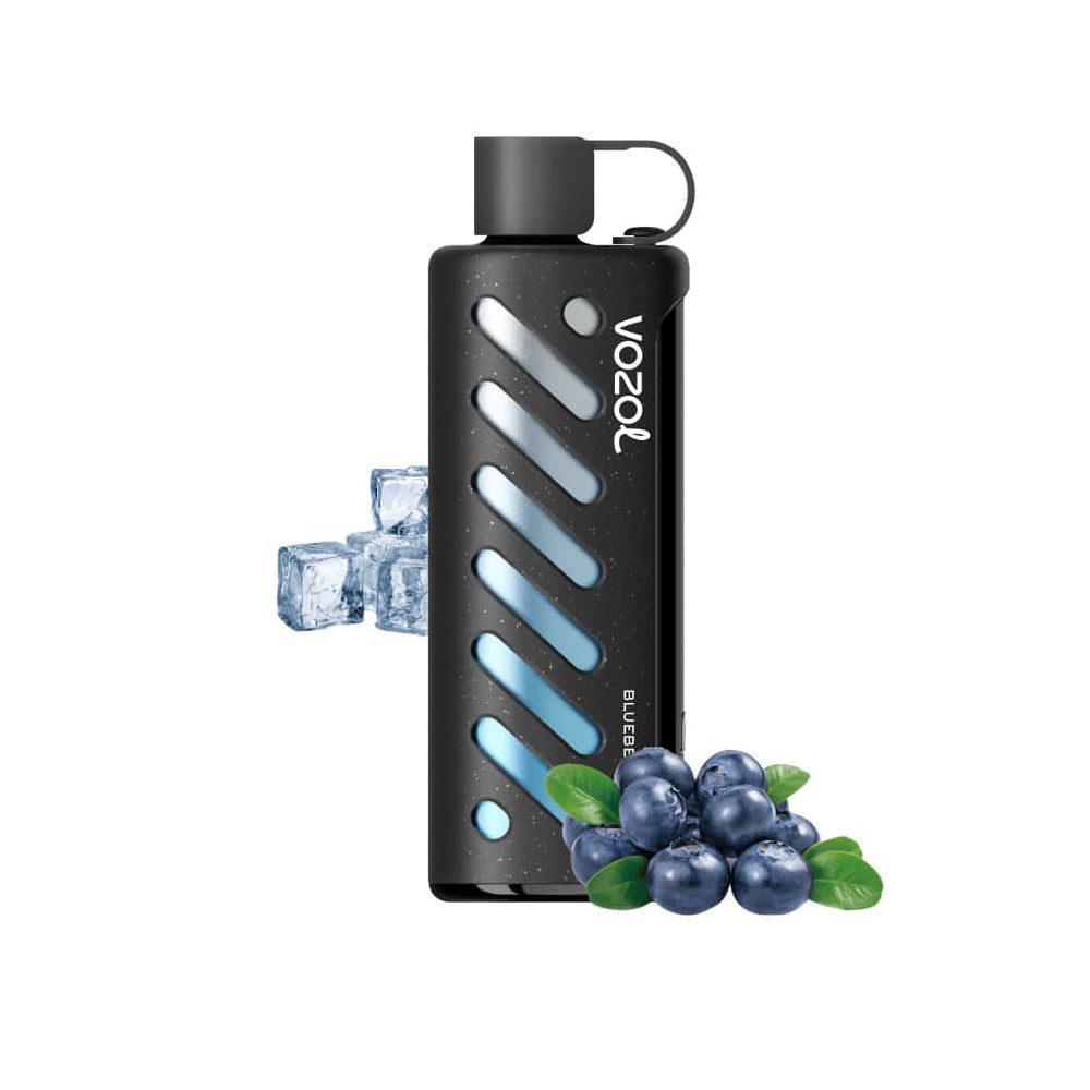 VOZOL GEAR 25000 Blueberry Ice E-Zigarette mit Blaubeeren und Eiswürfeln, ideal zum Blaubeer Vape Kaufen für bis zu 25.000 Züge.