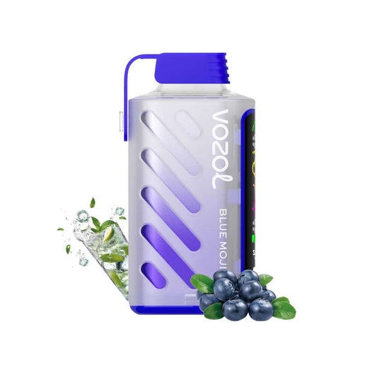 VOZOL GEAR 20000 Blue Mojito E-Zigarette mit stylischem Design, Blaubeeren, Minze und Eiswürfeln – erfrischender Vape-Genuss mit 20.000 Zügen.